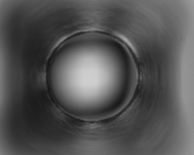 X0000092231460200709211017