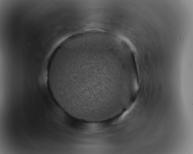 X0000092231461200709211017