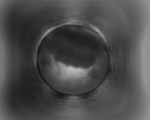 X0000092231463200709211017