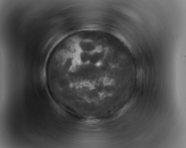 X0000092231466200709211017