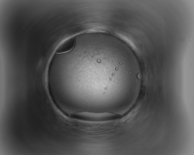 X0000092231471200709211017