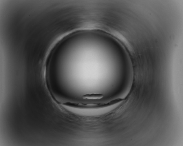 X0000092231472200709211017