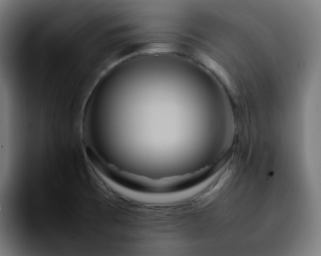 X0000092231473200709211017