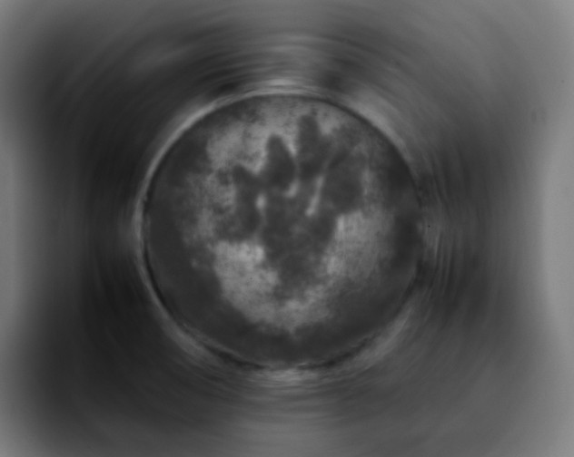 X0000092231474200709211017