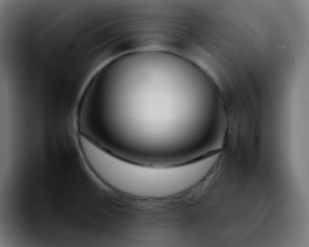 X0000092231476200709211017
