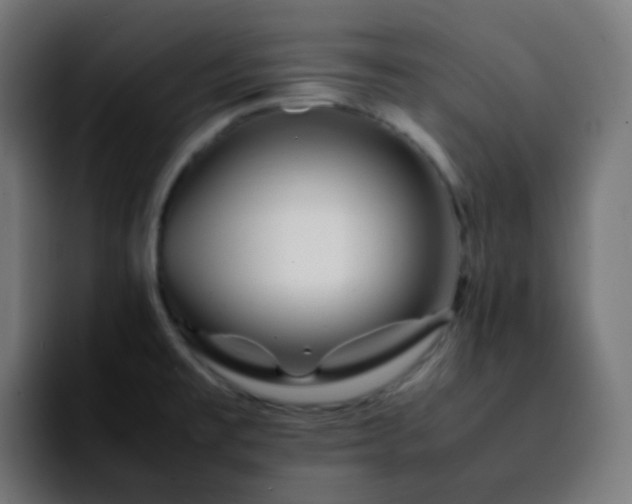 X0000092231477200709211017