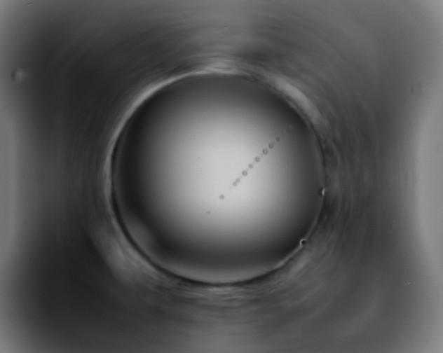 X0000092231479200709211017