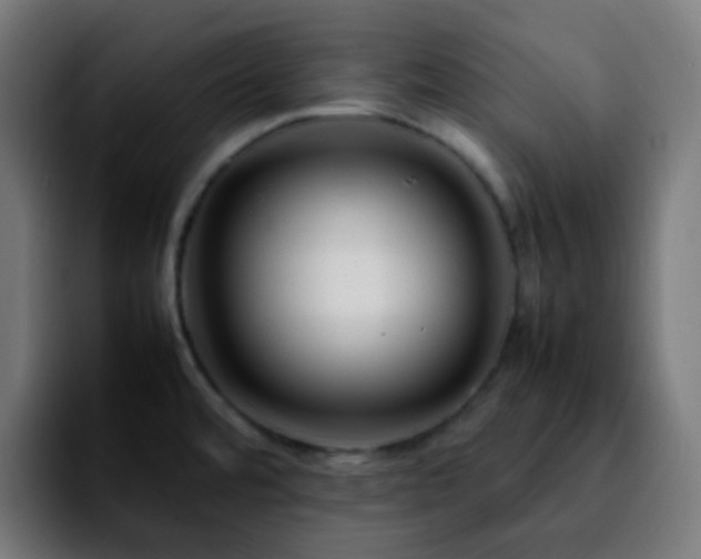 X0000092231480200709211017