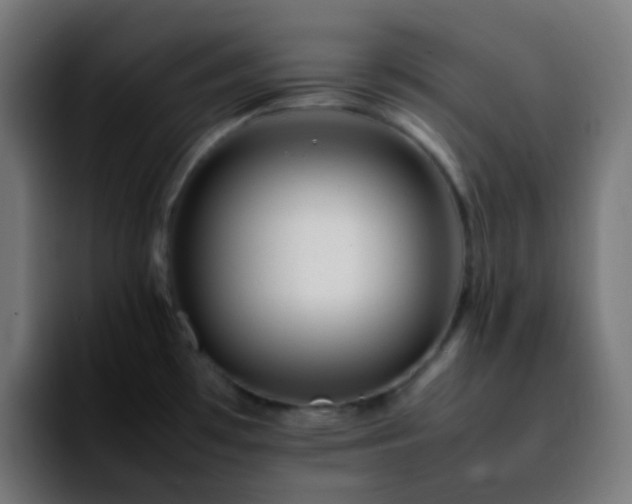 X0000092231481200709211017