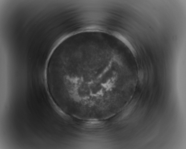 X0000092231482200709211017