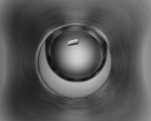 X0000092231483200709211016