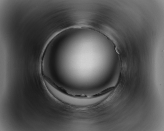 X0000092231484200709211016