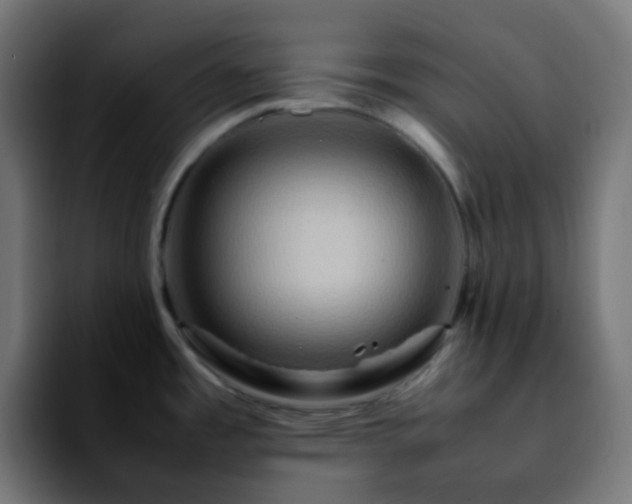 X0000092231485200709211016