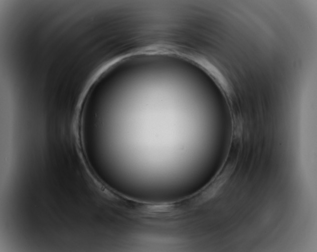 X0000092231486200709211016