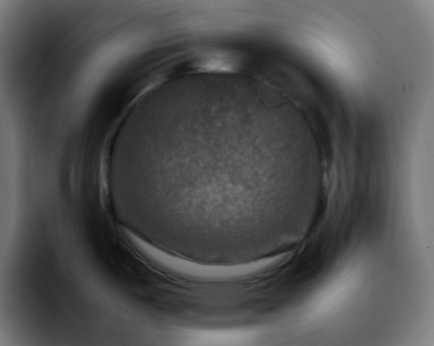 X0000092231487200709211016