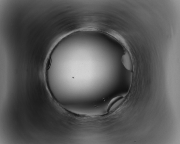 X0000092231488200709211016