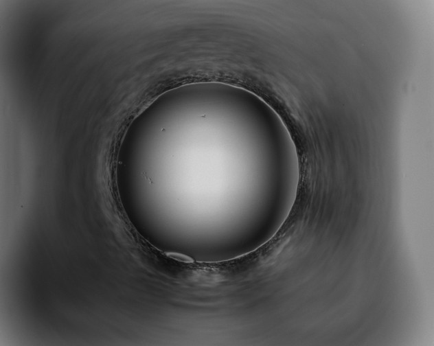 X0000092231489200709211016
