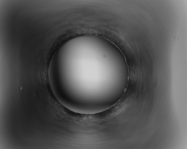 X0000092231490200709211016