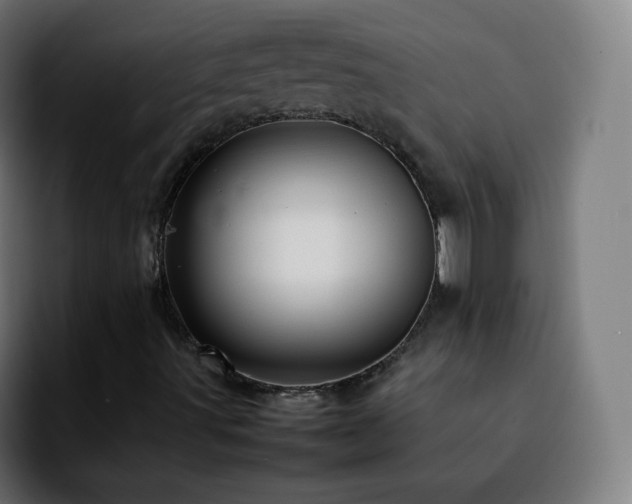 X0000092231491200709211016