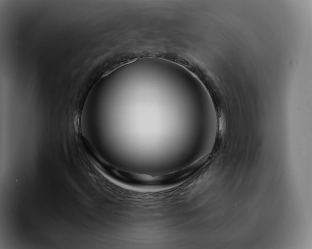 X0000092231492200709211016