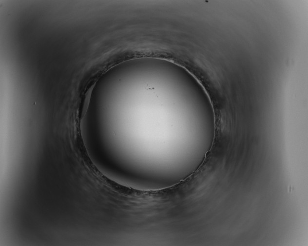 X0000092231493200709211016