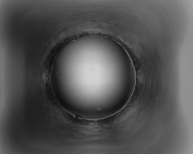 X0000092231495200709211016