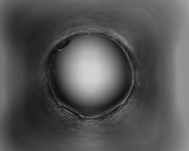 X0000092231496200709211016