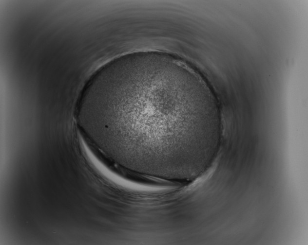 X0000092231497200709211016