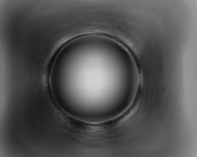 X0000092231501200709211016