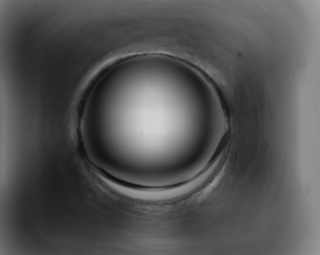 X0000092231502200709211016