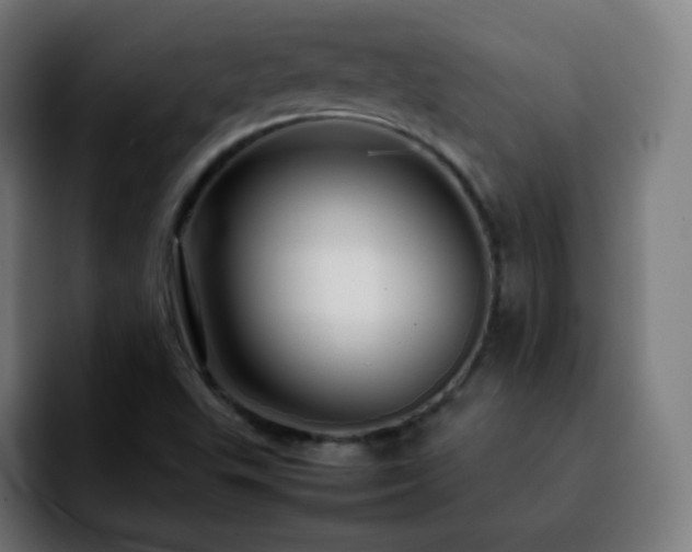 X0000092231503200709211016