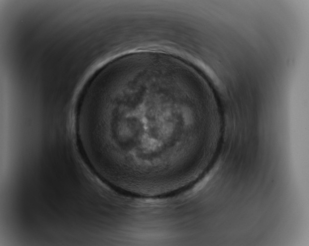 X0000092231506200709211016