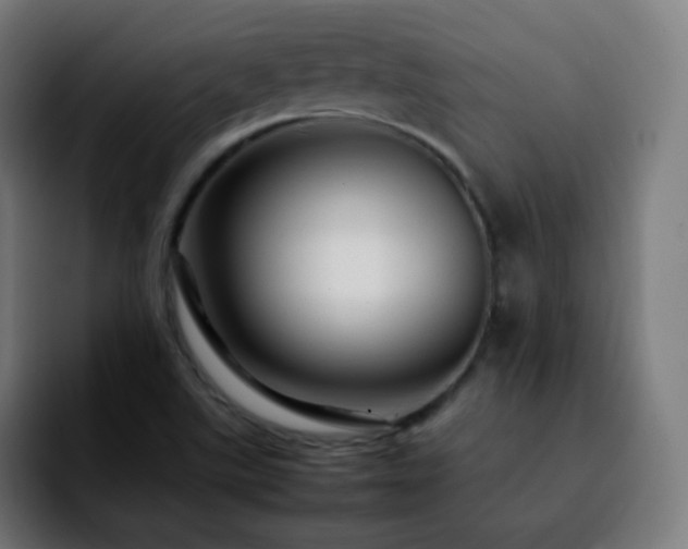 X0000092231507200709211016