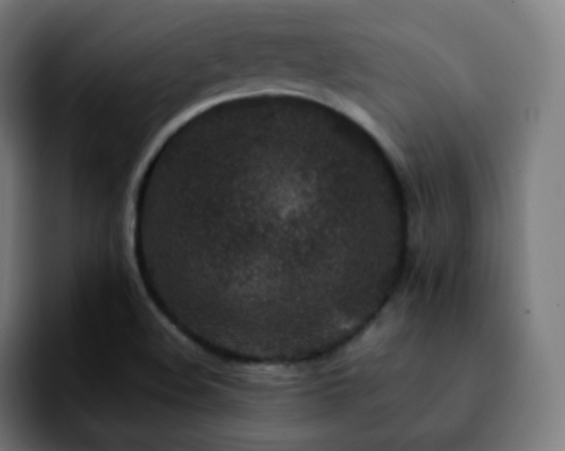 X0000092231508200709211016