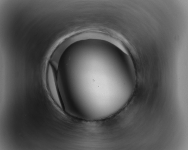 X0000092231512200709211016