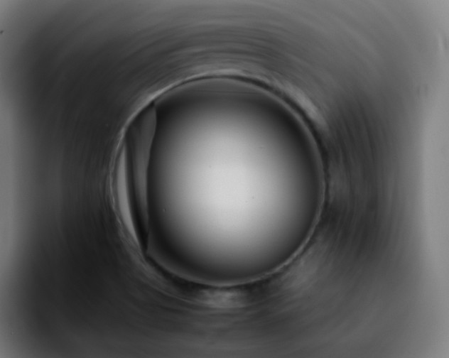 X0000092231513200709211016