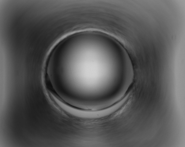 X0000092231518200709211016