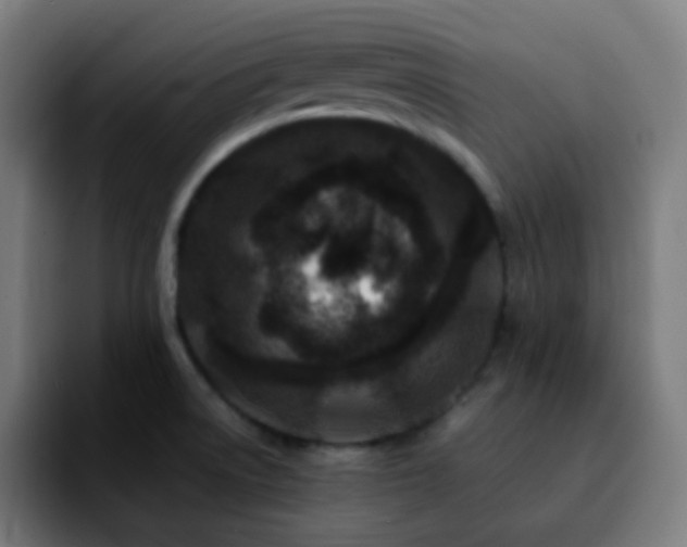 X0000092231522200709211016