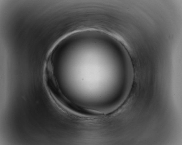 X0000092231524200709211016