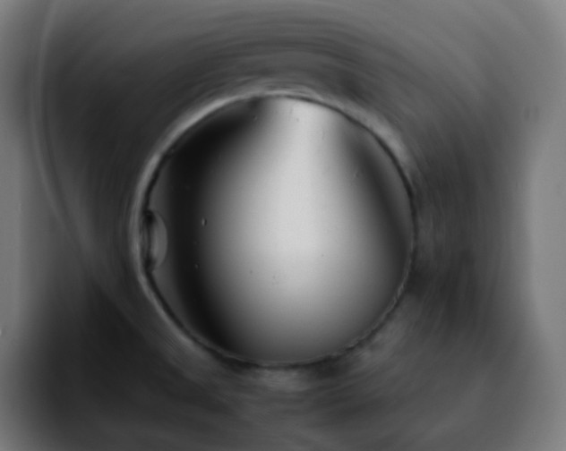 X0000092231525200709211016