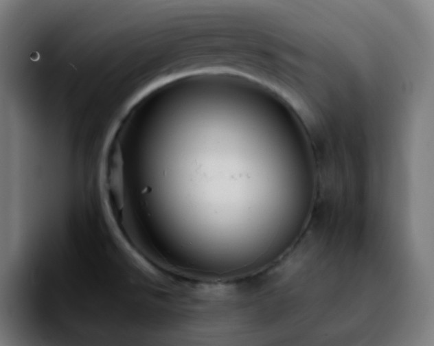 X0000092231526200709211016