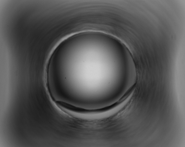 X0000092231531200709211016