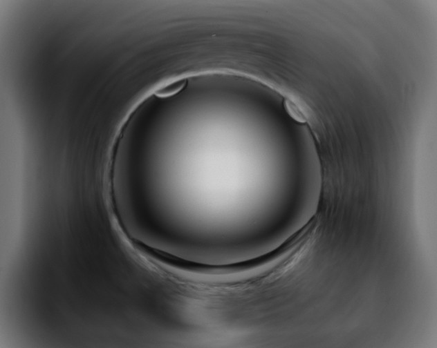 X0000092231534200709211016