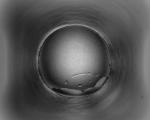 X0000092231535200709211016