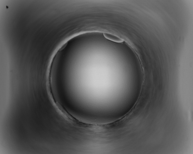 X0000092231536200709211016