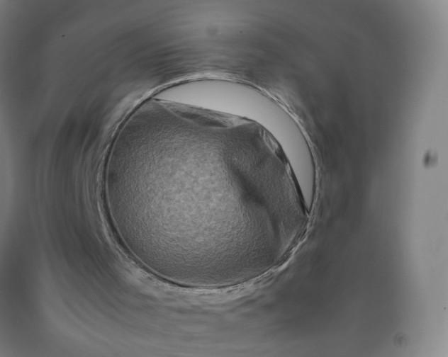 X0000092230001200709281113