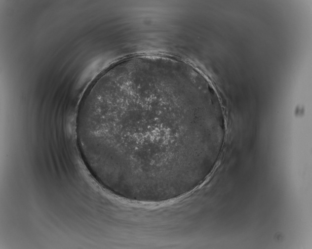 X0000092230002200709281113