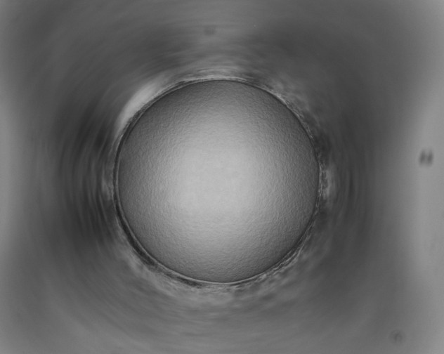 X0000092230004200709281113