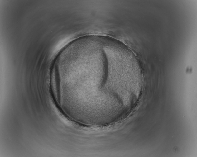 X0000092230005200709281113