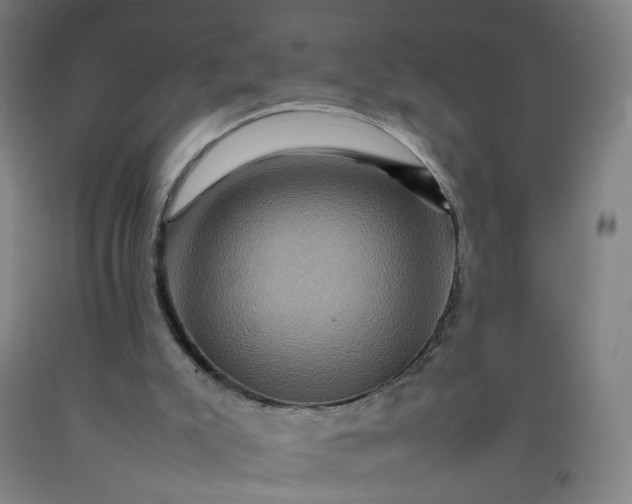 X0000092230007200709281113